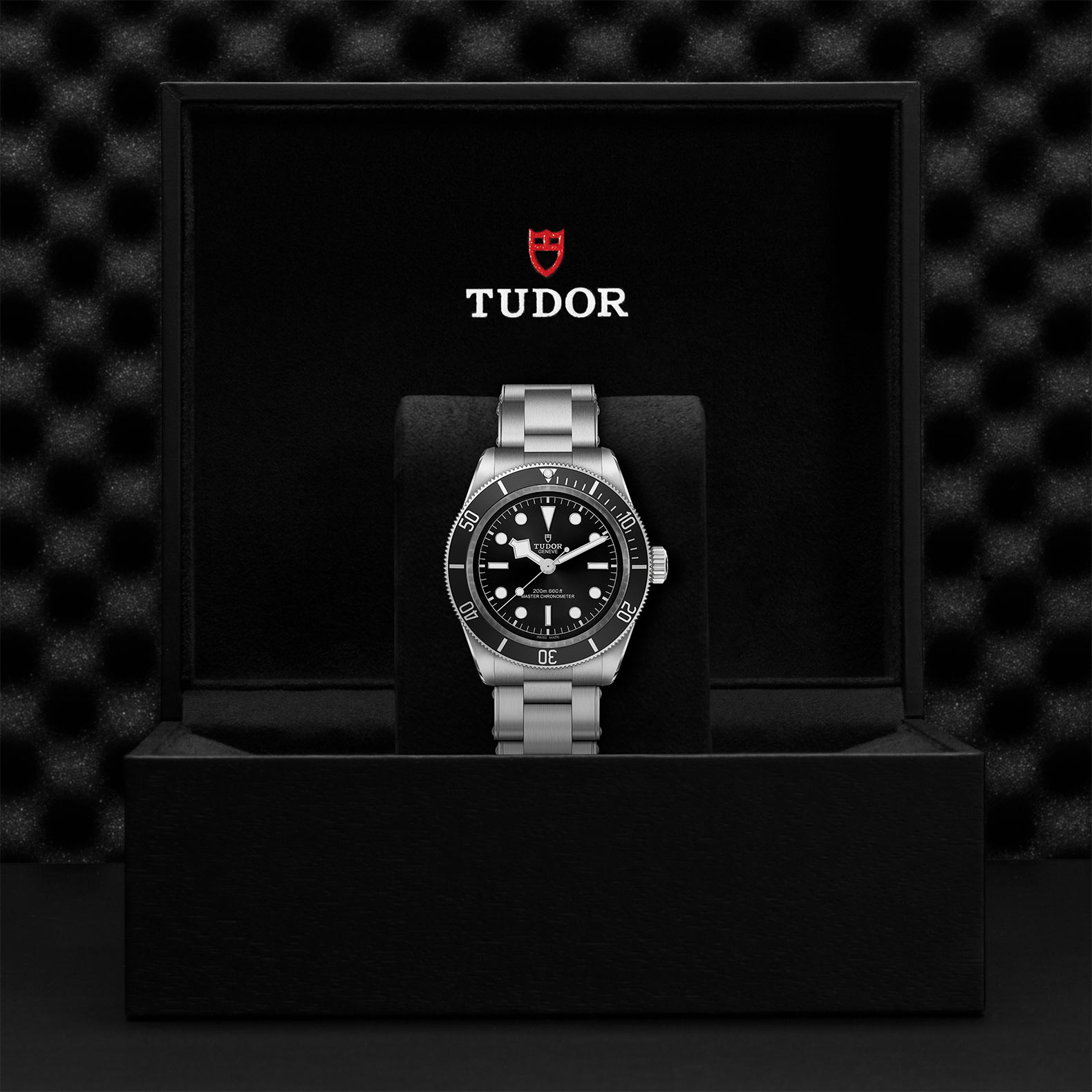 Tudor Black Bay M7941A1A0NU-0001