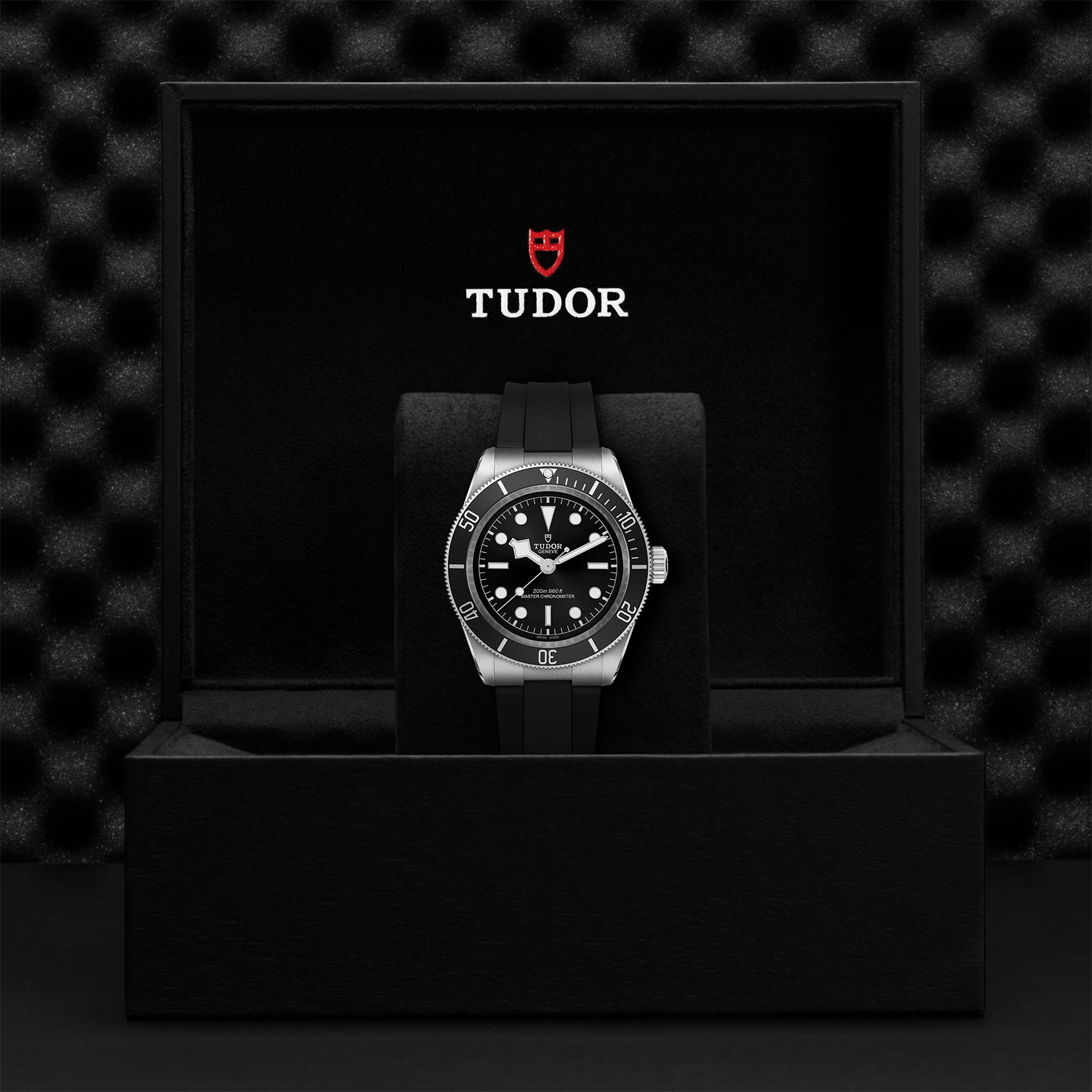 Tudor Black Bay M7941A1A0NU-0002