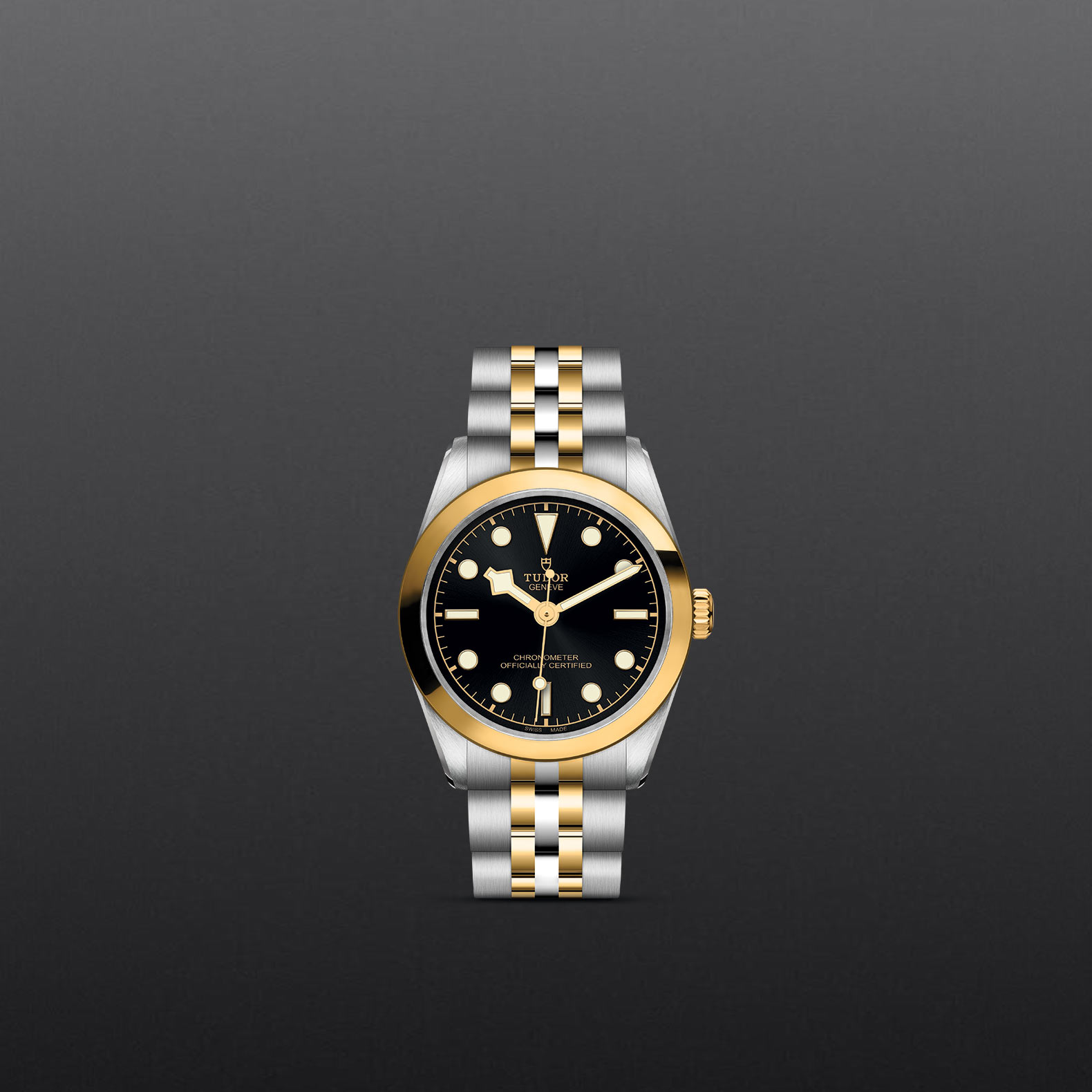 Tudor Black Bay 31 S&G M79603-0001