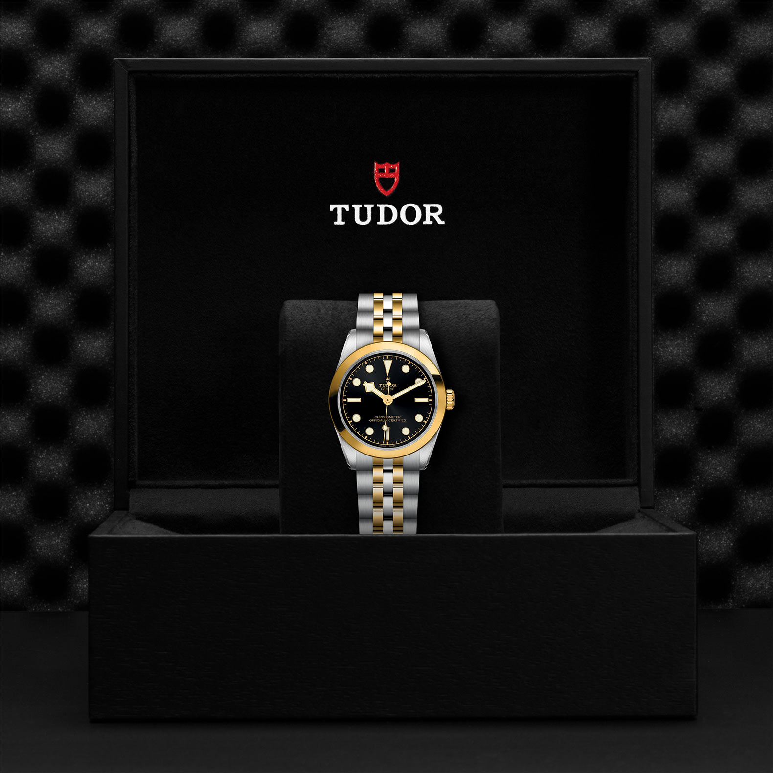 Tudor Black Bay 31 S&G M79603-0001