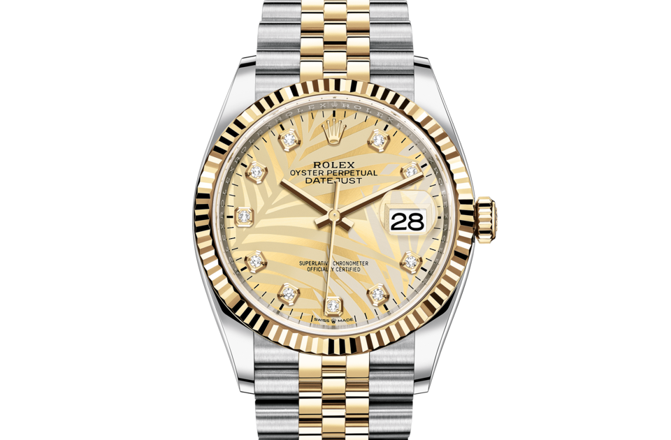 Rolex Datejust in Oystersteel and gold m126233 0043 The Hour