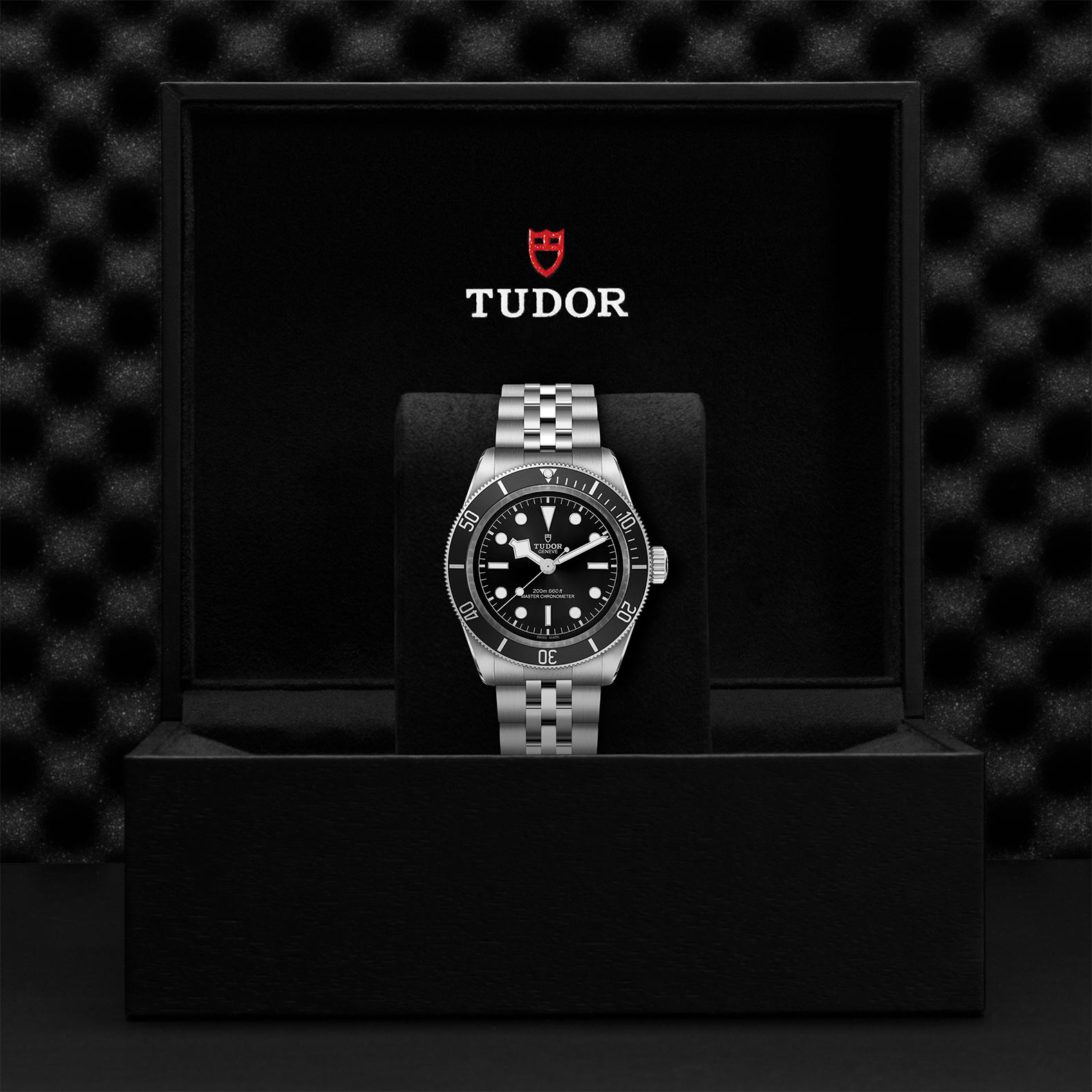 Tudor Black Bay M7941A1A0NU-0003